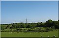 Pylons above Brynddu