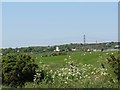 View south-westwards across sheep grazings towards Mynydd Mechell