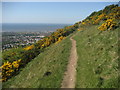 Above Prestatyn