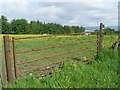 Gate at field east of Bishopbriggs