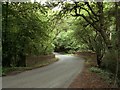 Part of a road called Bucks Alley