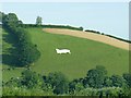 Artistic cattle on Llangunnor Hill