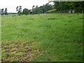 Footpath near Nursted