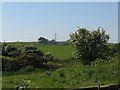 View across grazing land towards Ty-newydd Farm