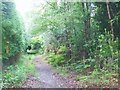 Bridleway, Terwick Common