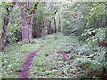 Bridleway, Heyshott Green