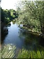 River Avon near Chippenham