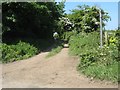 Footpath towards Tyddyn-y-Pandy