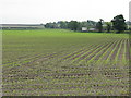 Farmland Off Warrington Lane