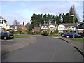 Plantation, rear of Anderson Drive, Myton