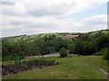 Garden at Rhydfallen Ganol.