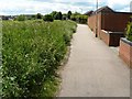 Path by Black Brook Loughborough