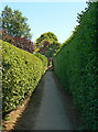 Footpath to The Strand