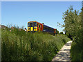 Train passing Attenborough Nature Reserve