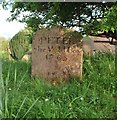 Grave of Peter the Wild Boy