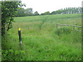 Footpath in field