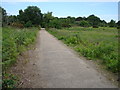 TM2446 : Track on Martlesham Heath by Oxymoron