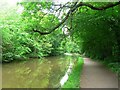 Leeds & Liverpool Canal