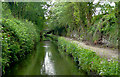 Marsh Lane Narrows, near Wolverhampton