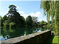 Ansty Pond