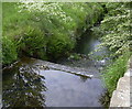 Swinnel Brook