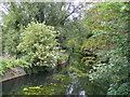 The River Stour at the Croft Sudbury