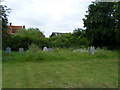 Overgrown part of graveyard