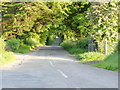 The Bann Road near Scarva