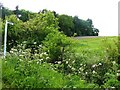 Path from Dry Pot Lane  to the A42