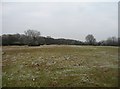 SP8406 : Clear ground on Coombe Hill by ad acta