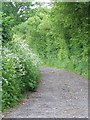 Footpath, Upper Farringdon