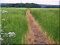 Footpath, West Worldham