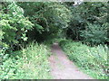 Public bridleway, Bethersden