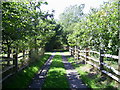 Lane leading to main street in Selmeston