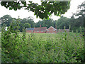 Houses glimpsed through trees