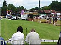 Pig Racing in the Show Ring, Hearing Dogs Summer Fayre, 2009