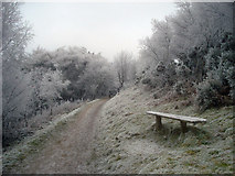 SO7642 : Path and seat on Pinnacle Hill by Trevor Rickard