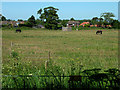 View from footpath to Leiston Road