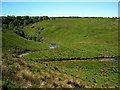 A Meander in Glen Water