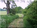 SU8112 : Footpath near Stoughton by Maigheach-gheal
