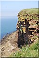NX9413 : Red Sandstone Cliff, St Bees Head by N Chadwick