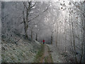 Lone walker on the Jubilee Drive path