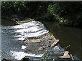 Weir on the Torridge