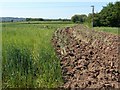 Making a start on the Ploughing