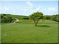 Footpath across a golf course, Bude