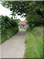 View along Church Lane