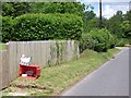 Eggs for sale, Durley