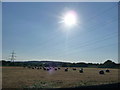 Stoke Canon : Hay Bales, Field & Electricity Pylons