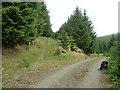 NT2728 : Path junction in Craig Douglas Forest by Jim Barton