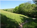 Field near Blakewell Mill